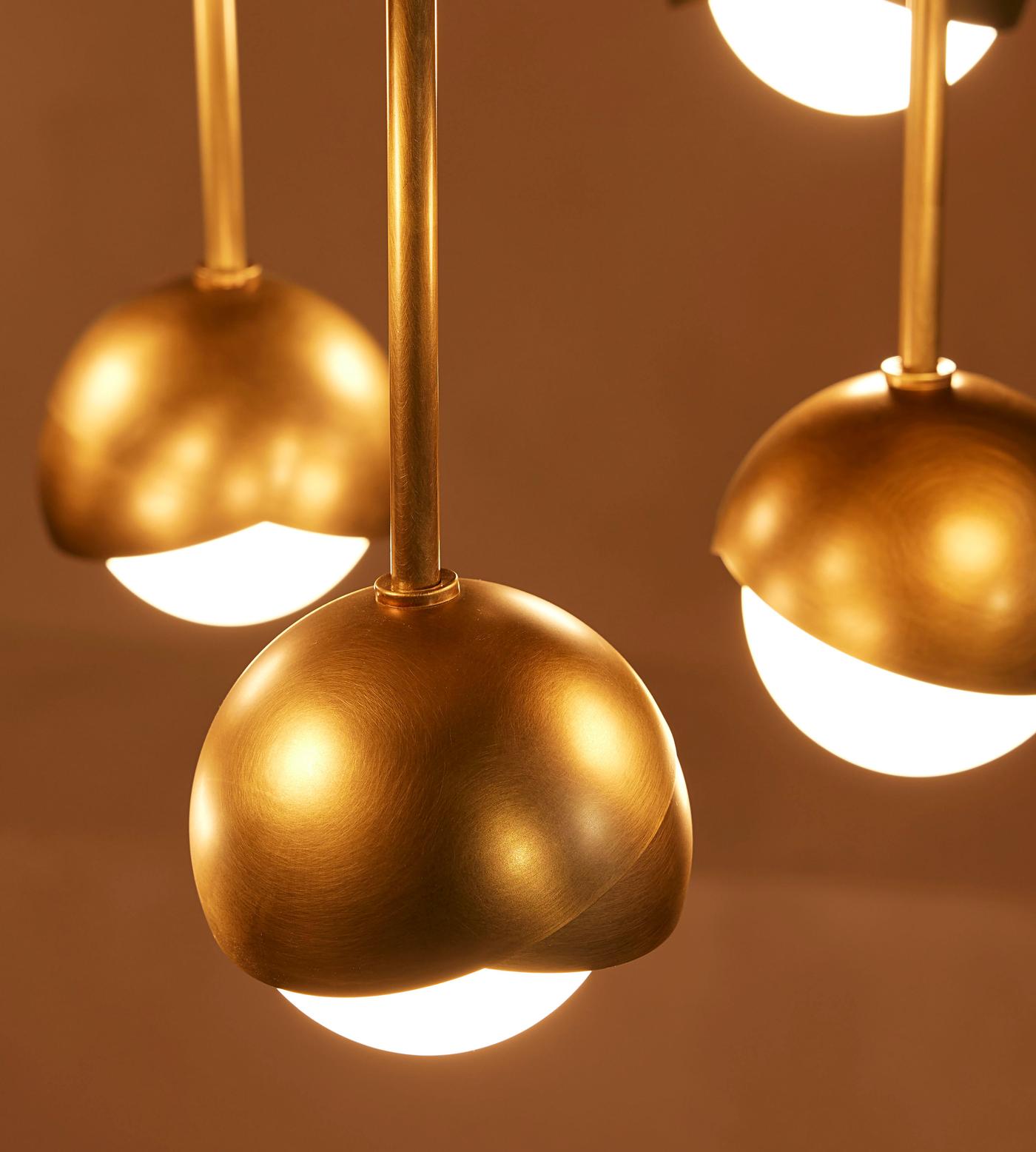 Seed Chandelier